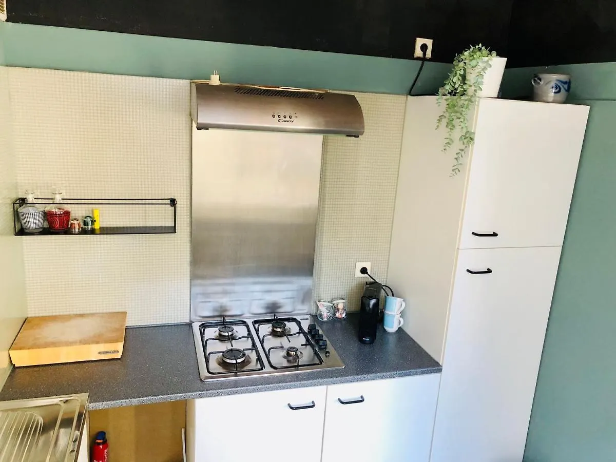 Bacchus Antwerpen - Rooms & Apartments 2*, Antwerp