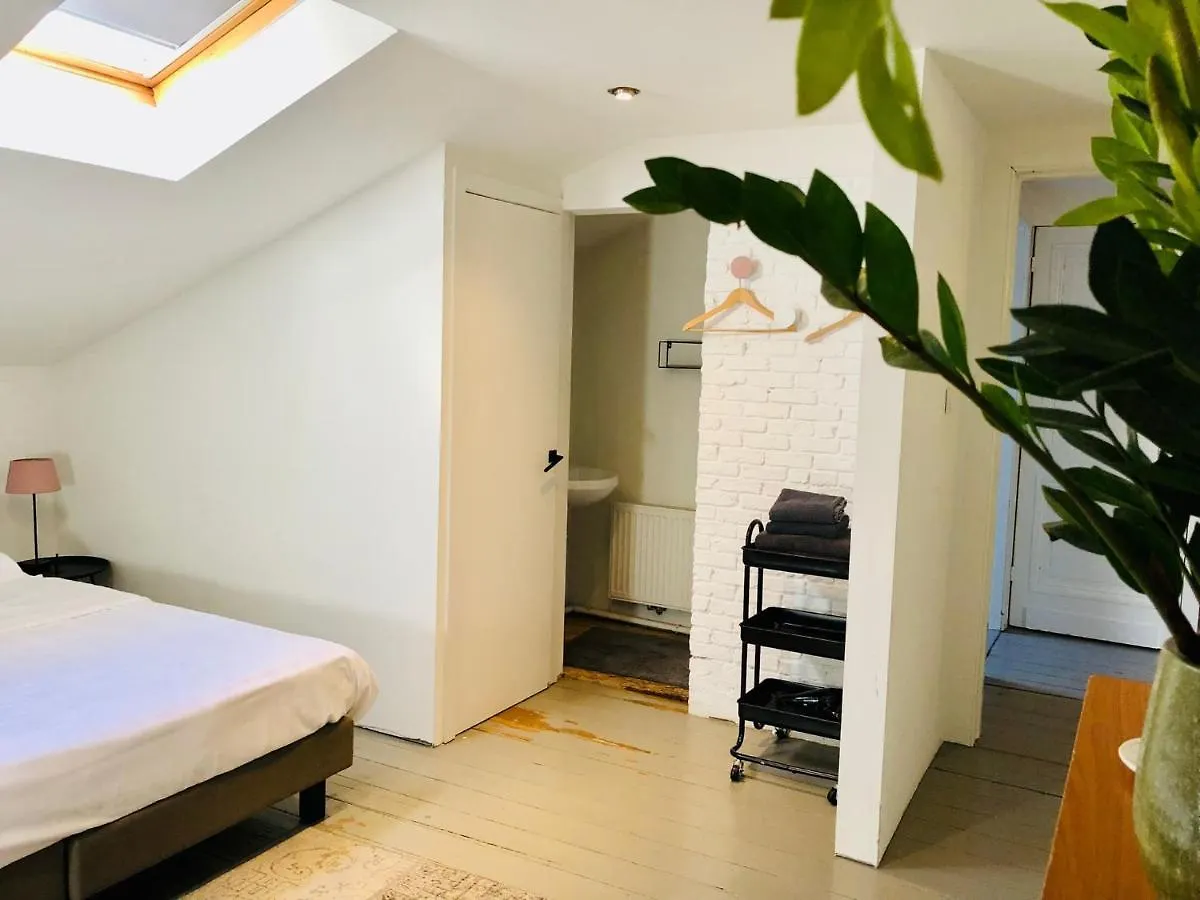 Aparthotel Bacchus Antwerpen - Rooms & Apartments