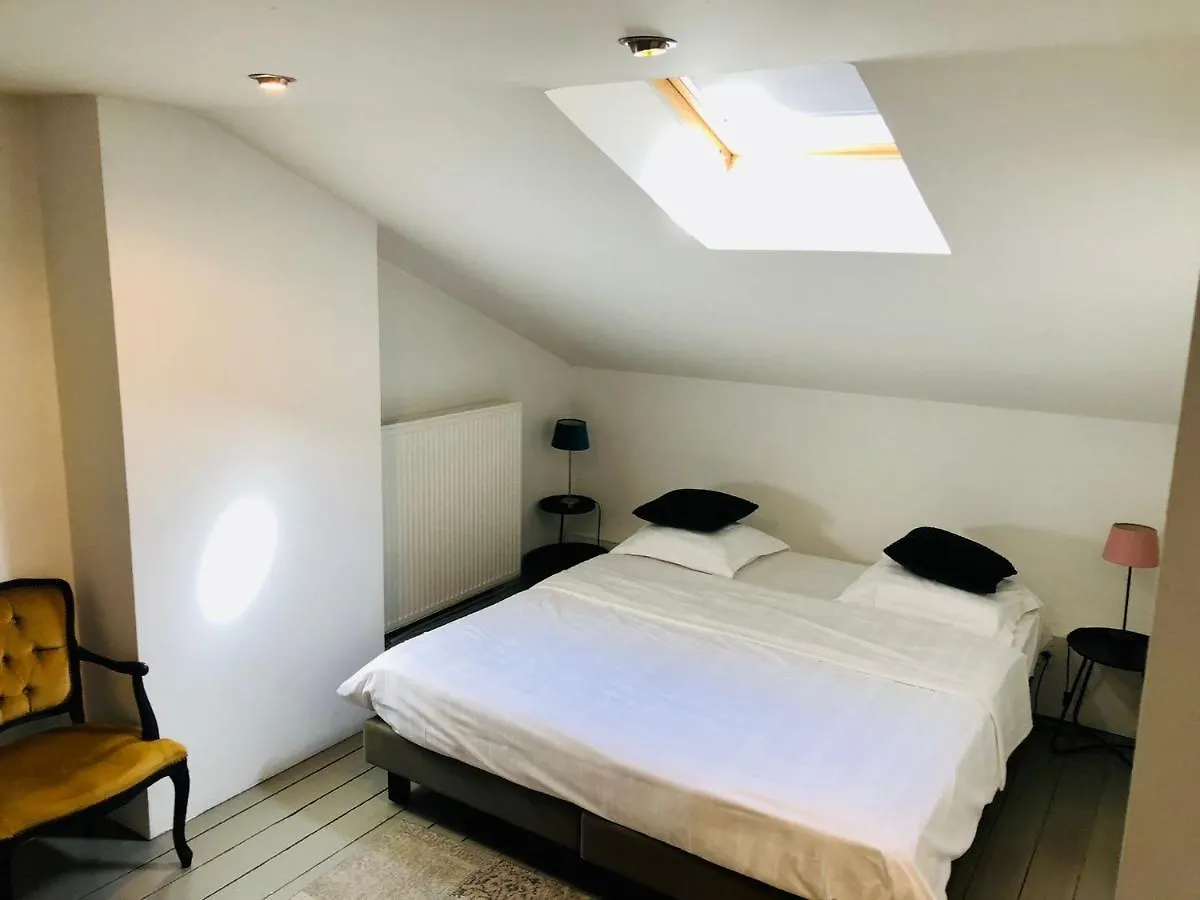 Bacchus Antwerpen - Rooms & Apartments 2*,